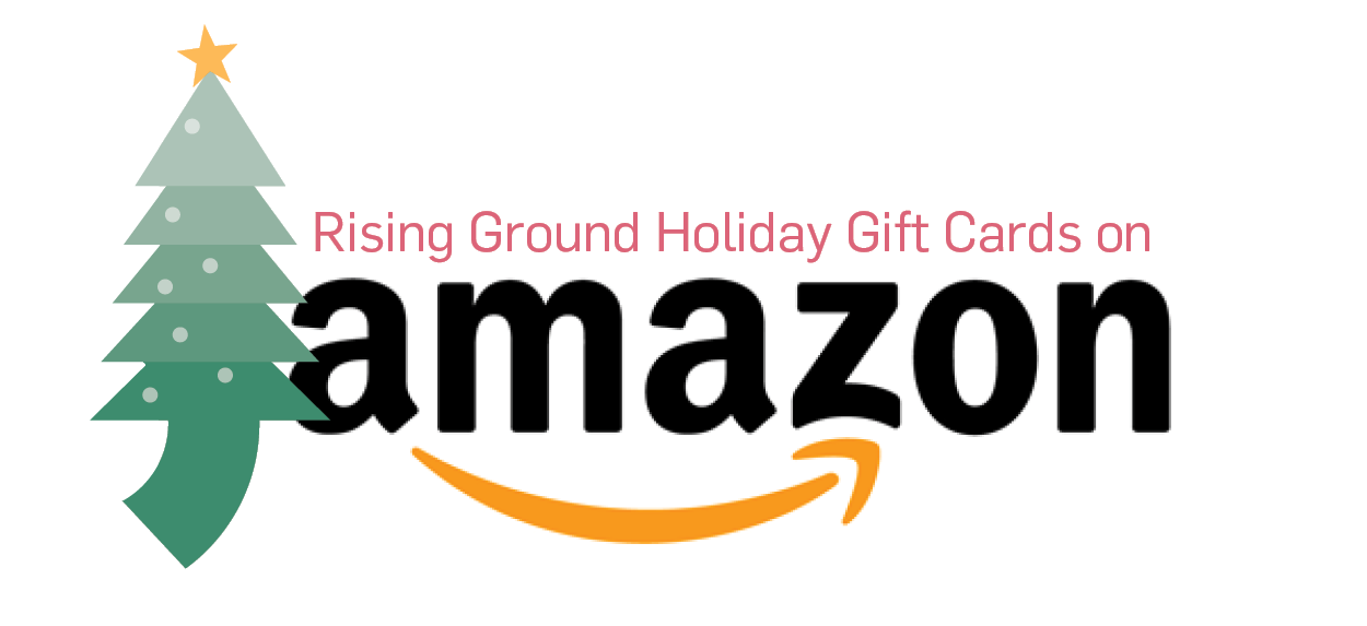 amazon holiday gift guide 2022
